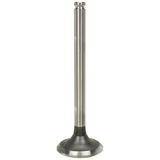 909205 : EXHAUST VALVE