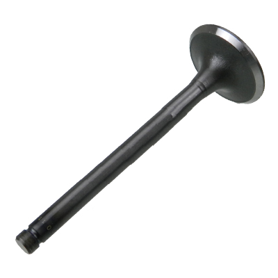 13711-UD010,13711-78300-71: Intake Valve – Motofork