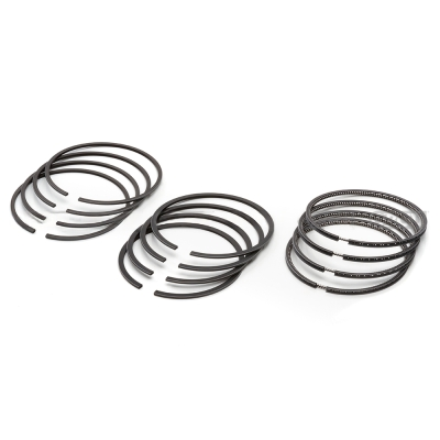 13015-78300-71-ORG : RING SET 1Z 1.00MM - motofork