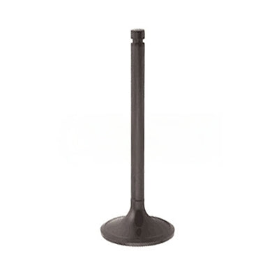 32A04-10100-ORG : VALVE INTAKE S4S S6S - motofork