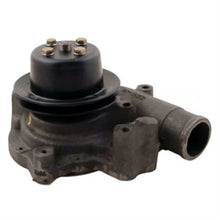 Load image into Gallery viewer, 906571 : PUMP-WATER - motofork