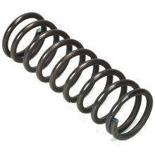 Load image into Gallery viewer, 10253 : SPRING - motofork