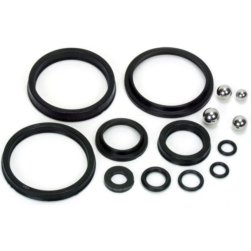 10278 : LIFT RITE SEAL KIT - motofork