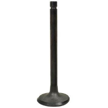 326610 : INTAKE VALVE - motofork