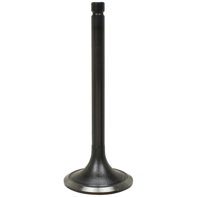 1361720 : INTAKE VALVE - motofork
