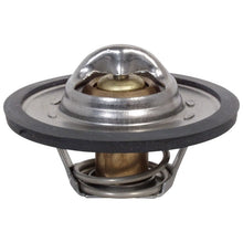 Load image into Gallery viewer, 1374109 : THERMOSTAT/O-RING - motofork