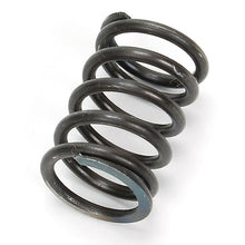 Load image into Gallery viewer, 2037377 : SPRING - motofork