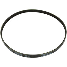 Load image into Gallery viewer, 4104447 : BELT, SERPENTINE - motofork