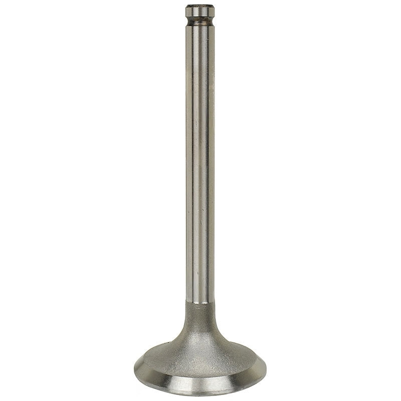4307278 : INTAKE VALVE - motofork