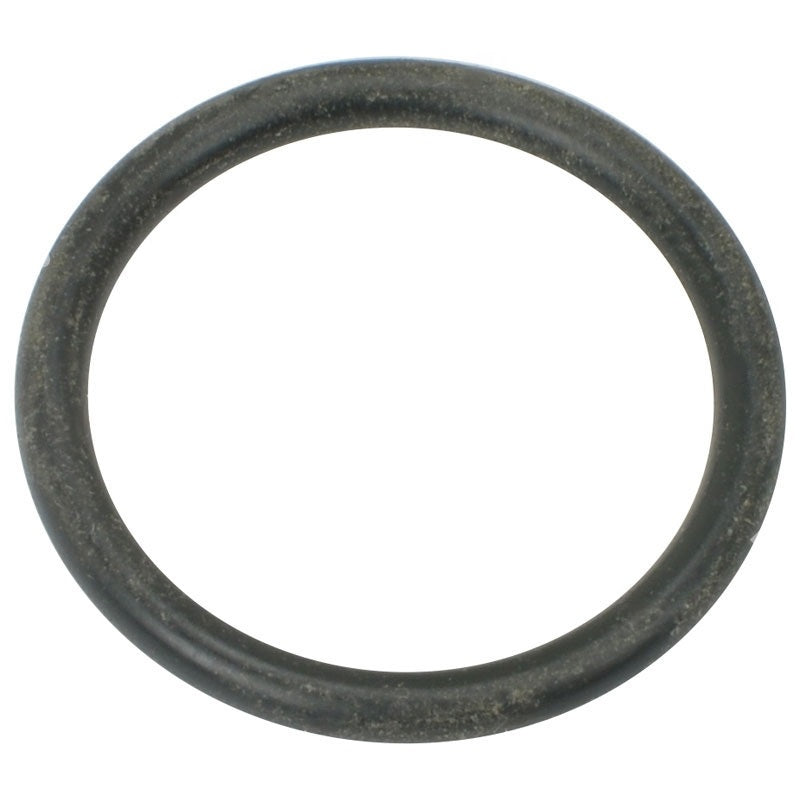 0154931-00 : O-RING - motofork