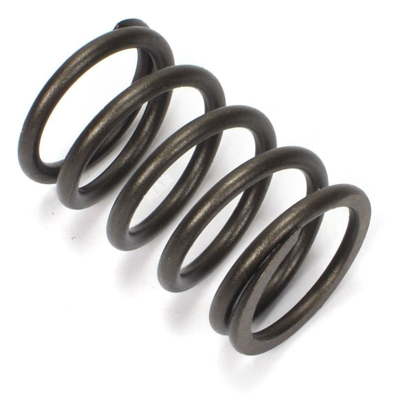 13203-FY50A : SPRING, VALVE - motofork