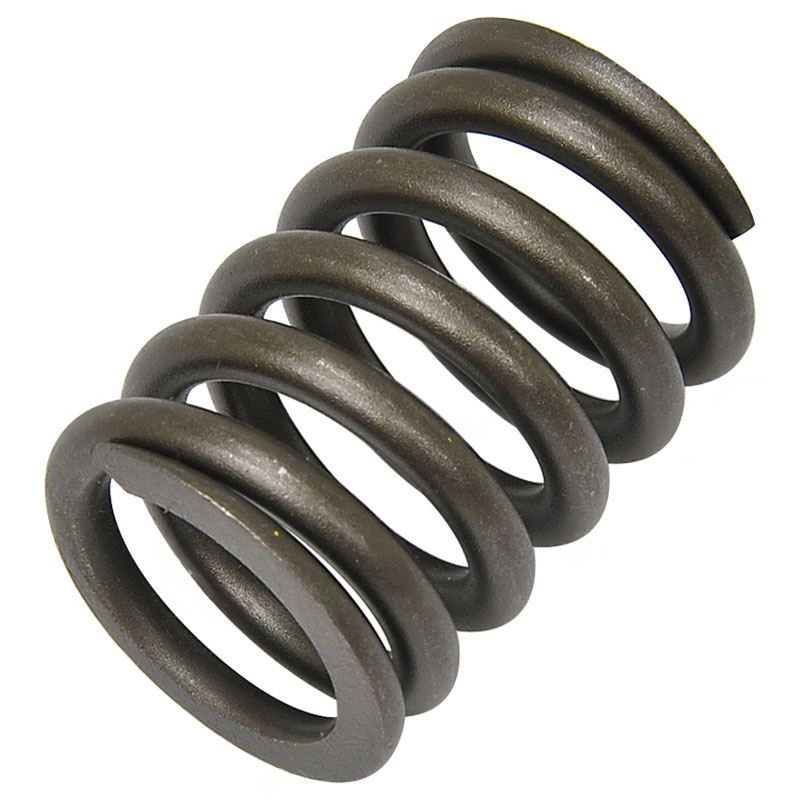 212T1-08421 : VALVE SPRING - motofork