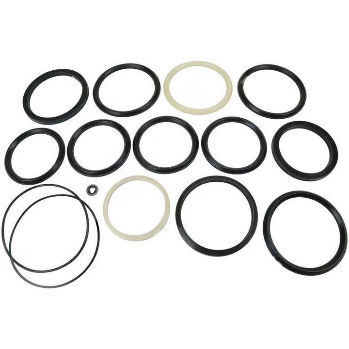 5051420-00 : SEAL KIT - motofork