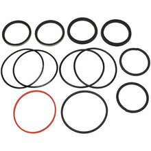 Load image into Gallery viewer, 5800269-54 : POWER STEERING O/H KIT - motofork