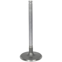 Load image into Gallery viewer, 5800570-25 : INTAKE VALVE - motofork