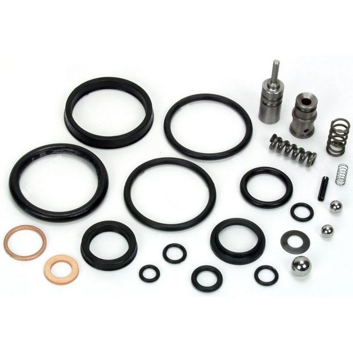 810-456 : BLUE GIANT SEAL KIT - motofork