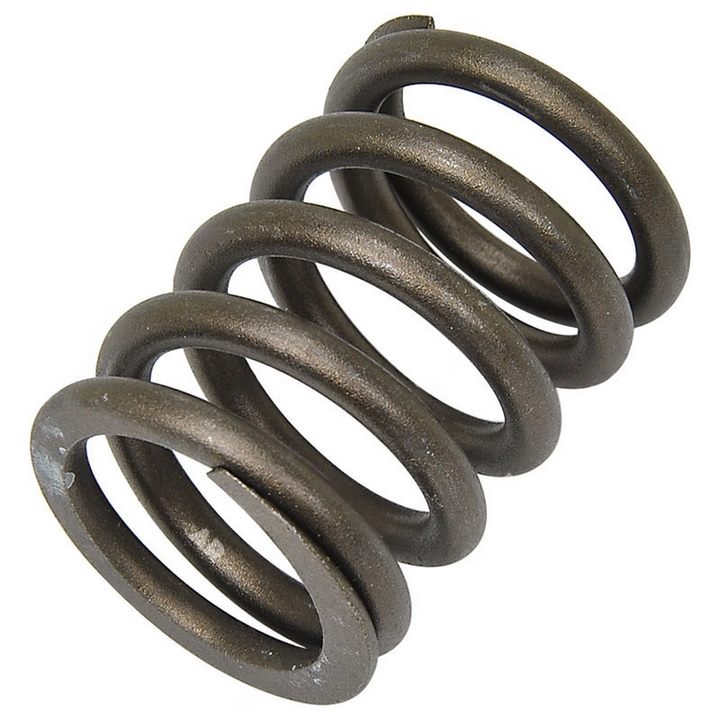 9002848-53 : VALVE SPRING - motofork