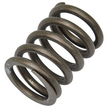 Load image into Gallery viewer, 9002848-53 : VALVE SPRING - motofork