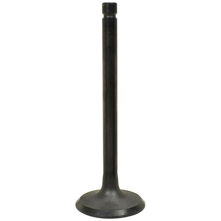 9005258-21 : INTAKE VALVE - motofork