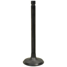 Load image into Gallery viewer, 9005258-21 : INTAKE VALVE - motofork