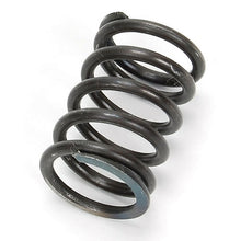 Load image into Gallery viewer, 9093773-00 : SPRING - motofork
