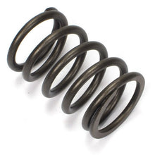 Load image into Gallery viewer, 91H20-06620 : SPRING, VALVE - motofork