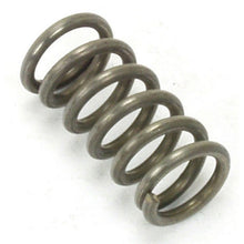 Load image into Gallery viewer, A155 : SPRING - motofork