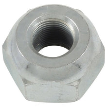 Load image into Gallery viewer, A403169 : NUT - motofork