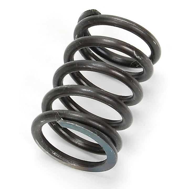 C521110554110 : SPRING - motofork
