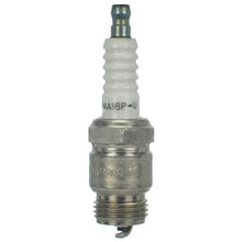 Load image into Gallery viewer, MA16P-U : SPARK PLUG - motofork