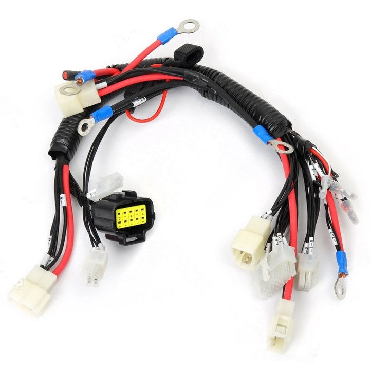 PTE-508833010000 : MAIN CONTROL WIRING HARNESS - motofork