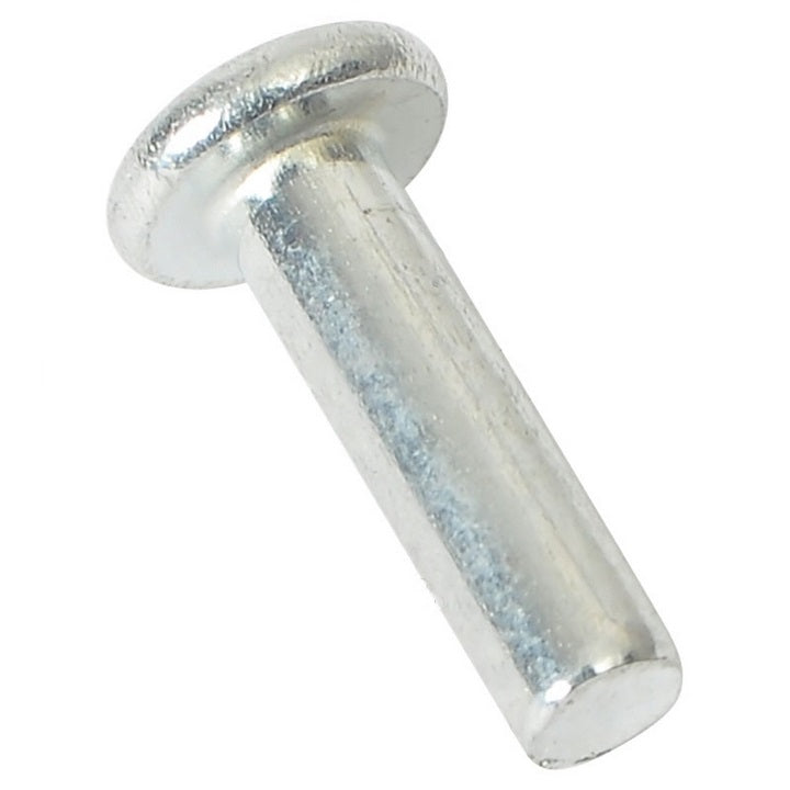 PTE-910500400001 : SCREW GB868-4X10 - motofork
