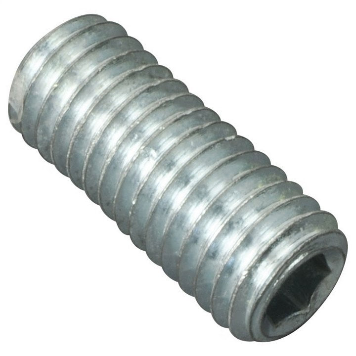 X318-MJP : SCREW - motofork