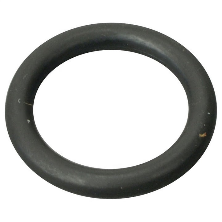 X331-MJP : O-RING - motofork