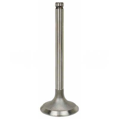 MD075924 : INTAKE VALVE - motofork