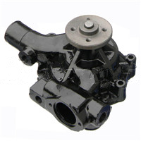 3800883: Water Pump - motofork
