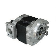Load image into Gallery viewer, 69101-51K01/69101-51K02: Hydraulic Pump - motofork