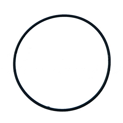 Z6003-22005,15943-82102: O-Ring - motofork