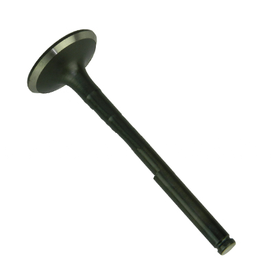 13711-76008-71: Intake Valve - motofork