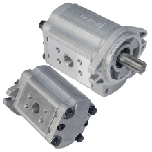 Load image into Gallery viewer, CBT-F430-AFH6L/A93J7-10001: Hydraulic Pump - motofork