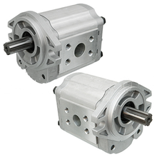 Load image into Gallery viewer, CBT-F425-AFH6L-G00: Hydraulic Pump - motofork