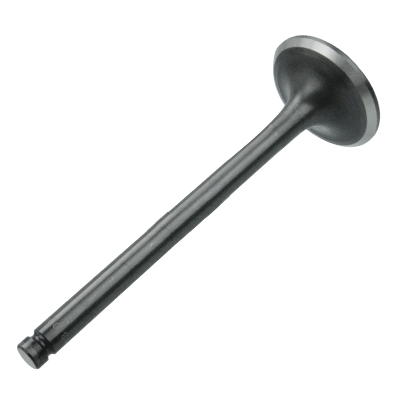 A-13202-43G01,13202-54T01: Exhaust Valve - motofork