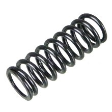 Load image into Gallery viewer, 24389-46021: Spring - motofork