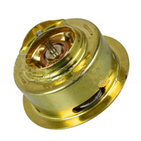 5I-8010/AG-34346-11500: Thermostat - motofork