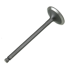 Load image into Gallery viewer, AG-34204-00200: Intake Valve - motofork