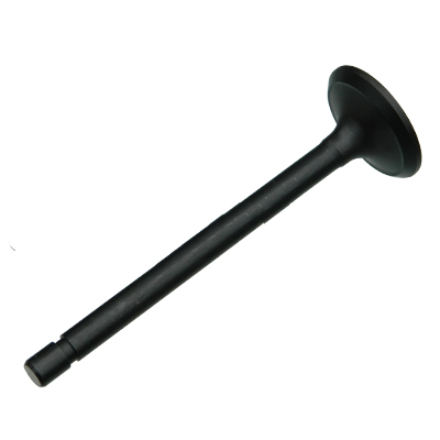 1C020-1312-2,1C020-13122,BN-1C020-13120,1C020-13120: Exhaust Valve - motofork