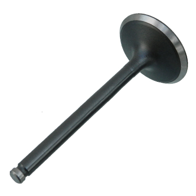 MD085253: Intake Valve - motofork