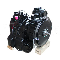 Load image into Gallery viewer, YQX100L4: Mechanical Transmission Assy - motofork