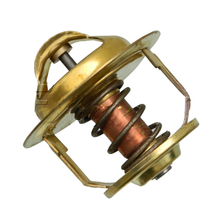 Load image into Gallery viewer, 600-421-6210: Thermostat - motofork