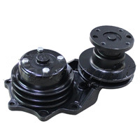 Load image into Gallery viewer, 1307010-X52,1307010-X12: Water Pump - motofork